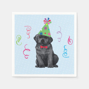 Birthday Party Black Lab Napkins