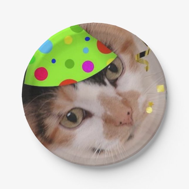 Birthday Party Calico Cat Paper Plates (Front)