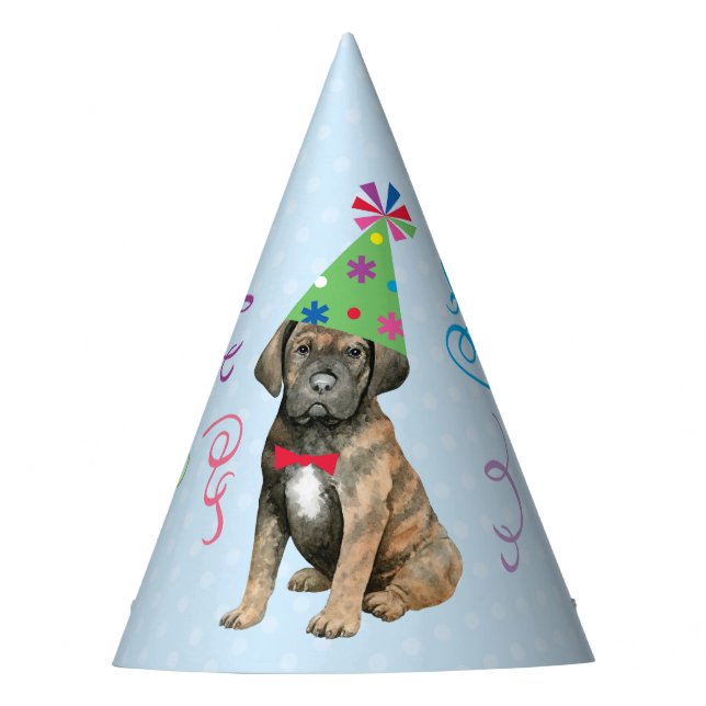 Birthday Party Cane Corso Party Hat (Front)