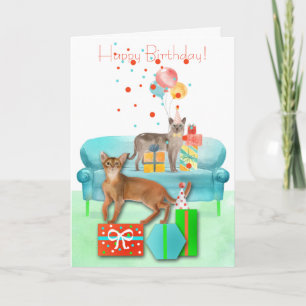 Birthday Party Cats with Hats and Gifts Birthday Card