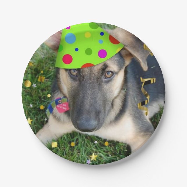Birthday Party German Shepherd Paper Plates (Front)