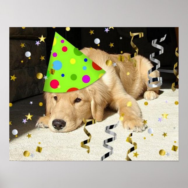 Birthday Party Golden Retriever Poster (Front)