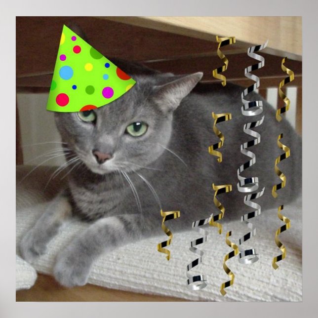 Birthday Party Gray Cat Poster (Front)