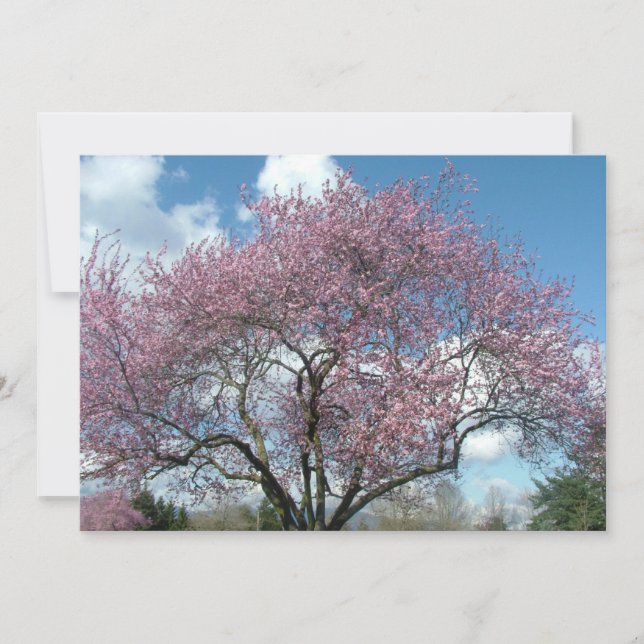 birthday party invitation (Front)