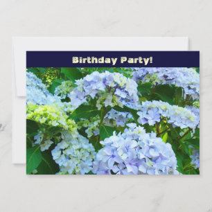 Birthday Party! Invitations Cards Blue Hydrangeas