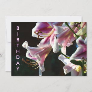 Birthday Party! invitations Pink Lily Flowers