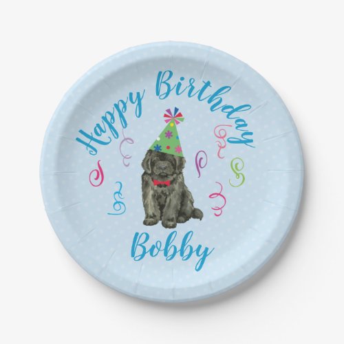 Birthday Party Newfoundland Paper Plate