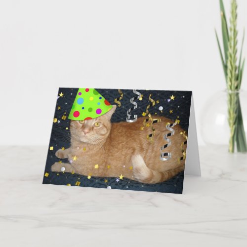 Birthday Party Orange Tabby Cat Card