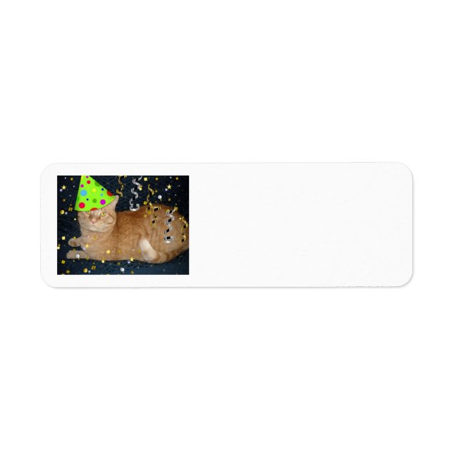 Birthday Party Orange Tabby Cat Label (Front)
