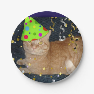 Birthday Party Orange Tabby Cat Paper Plates