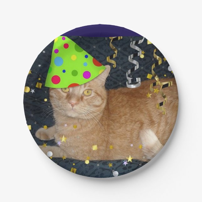 Birthday Party Orange Tabby Cat Paper Plates (Front)