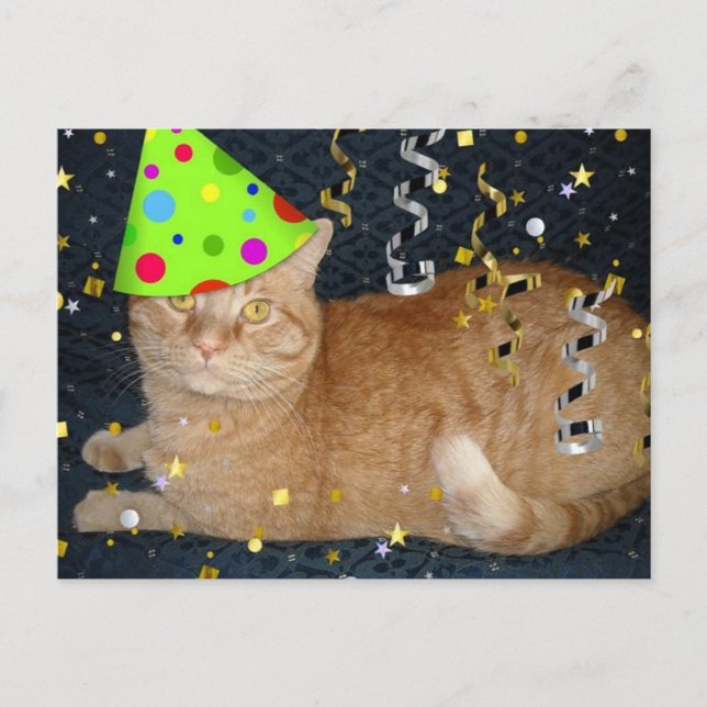 Birthday Party Orange Tabby Cat Postcard (Front)