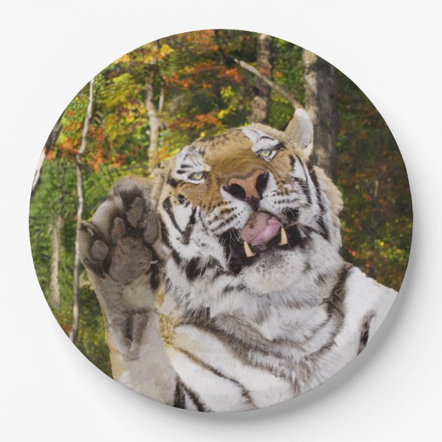 Birthday Party Plate (Front)