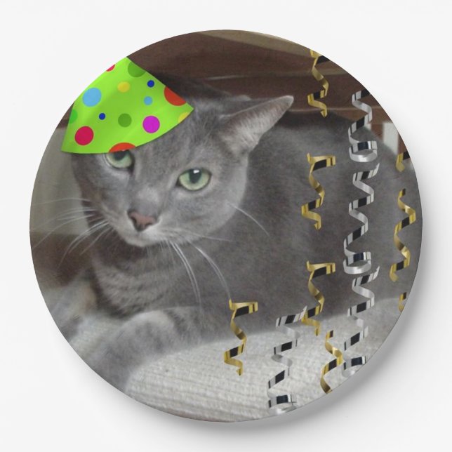Birthday Party Russian Blue Cat Paper Plates (Front)