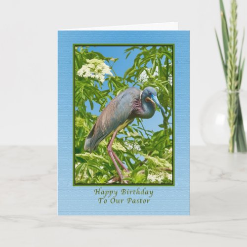 Birthday  Pastor Tricolored Heron in a Tree Card