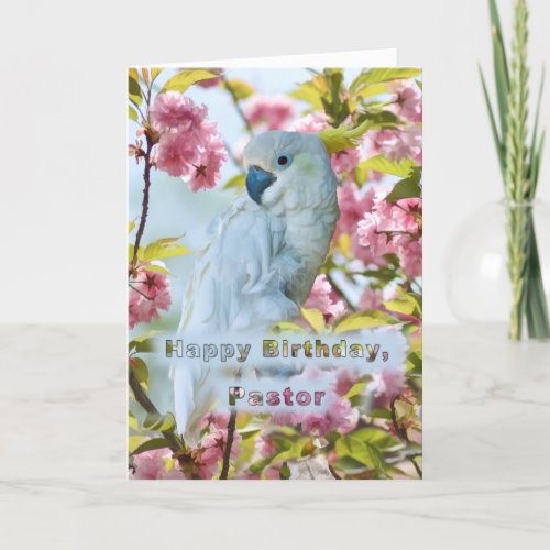 Birthday Pastor White Parrot in Crab Apple Tree Card