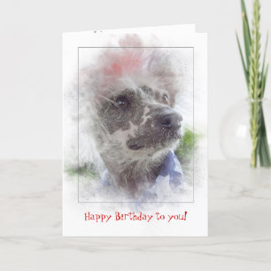 birthday-patriotic Chinese Crested Hairless dog Card