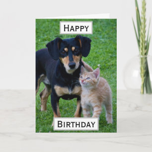Birthday Pet Parent Photo Card