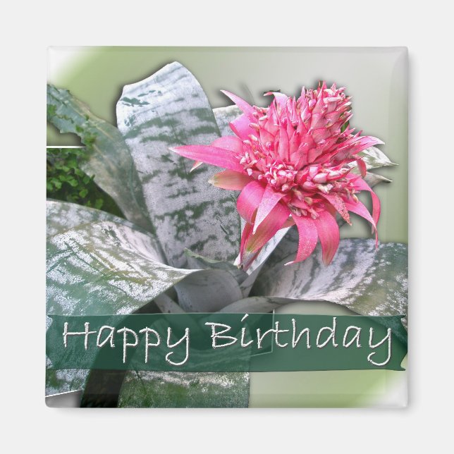 Birthday Pink Bromeliad Magnet (Front)