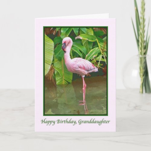 Birthday Pink Flamingo  Daughter Card