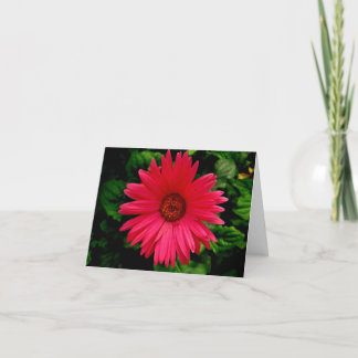 Birthday - Pink Flower-small Card