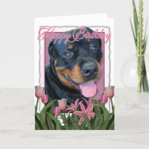 Birthday - Pink Tulips - Rottweiler - Harley Card