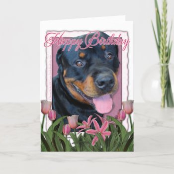 Birthday - Pink Tulips - Rottweiler - Harley Card by FrankzPawPrintz at Zazzle