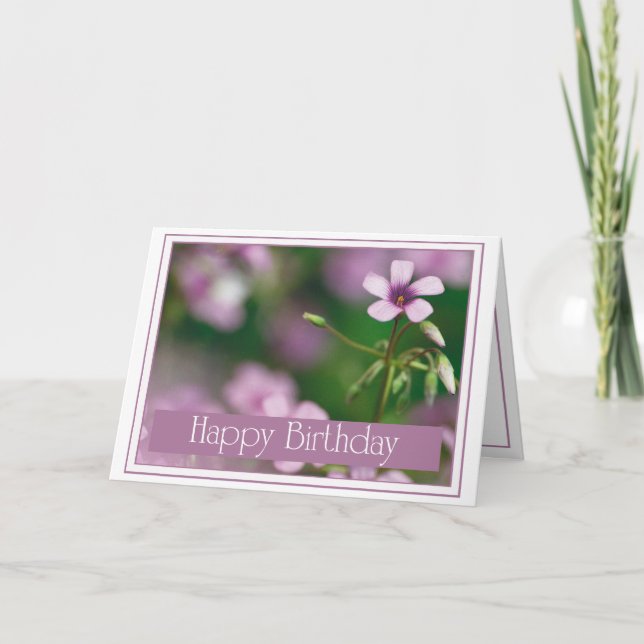 Birthday - Pink Wood Sorrel Greeting Card (Front)