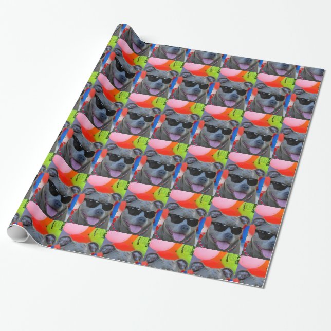 Birthday Pitbull in sunglasses  dog wrapping paper (Unrolled)