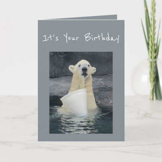 Birthday Polar Bear Bucket of Fun Humor Card | Zazzle.com