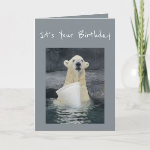 Birthday Polar Bear Bucket of Fun Humor Card
