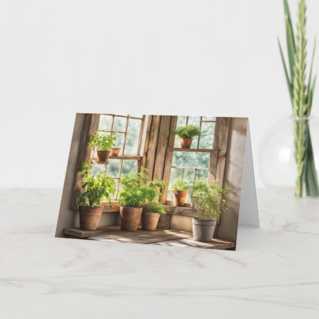 Birthday Potted Plants In Sunny Window Card (Front)