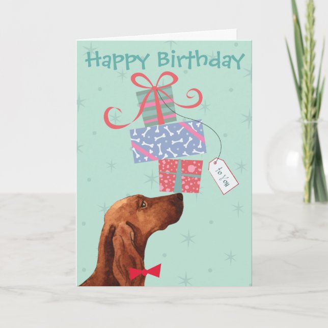 Birthday Presents Irish Setter Card (Front)