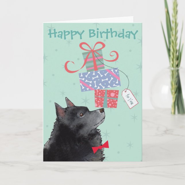 Birthday Presents Schipperke Card (Front)