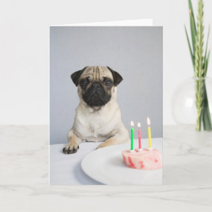 Birthday Pug Card