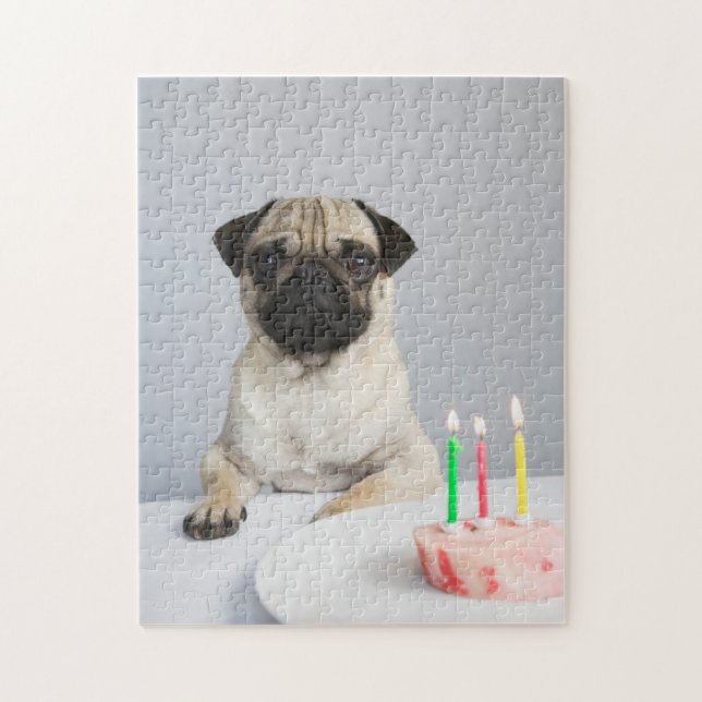 Birthday Pug Jigsaw Puzzle (Vertical)