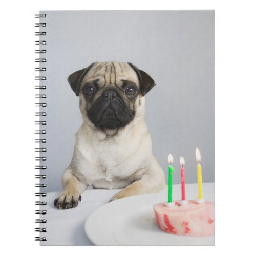 Birthday Pug Notebook