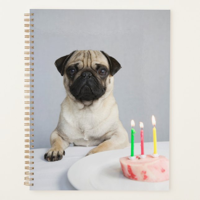 Birthday Pug Planner (Front)