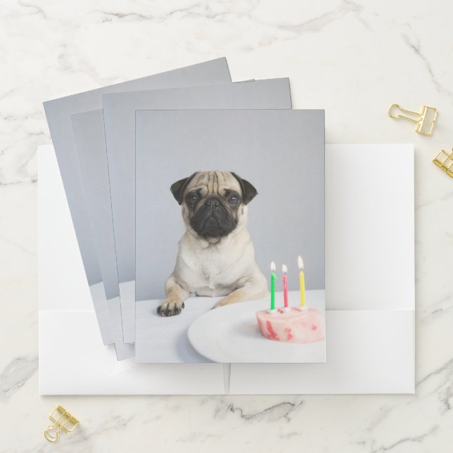 Birthday Pug Pocket Folder (In Situ)