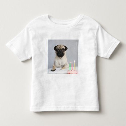 Birthday Pug Toddler T_shirt