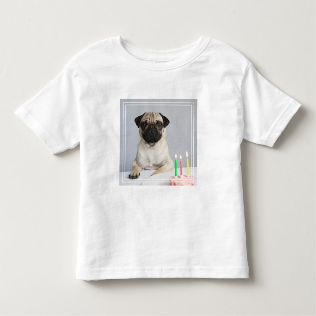 Birthday Pug Toddler T-shirt (Front)