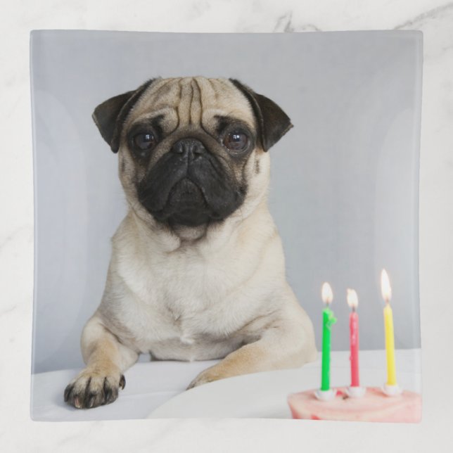 Birthday Pug Trinket Tray (Front)