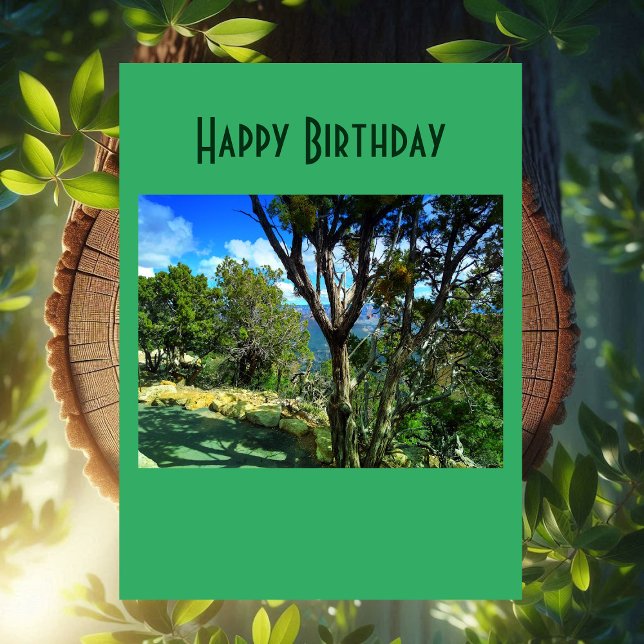 Birthday Quote Greenery Forest Nature Phothography Card (Personalized Message Birth Day Forest Scenery Card)