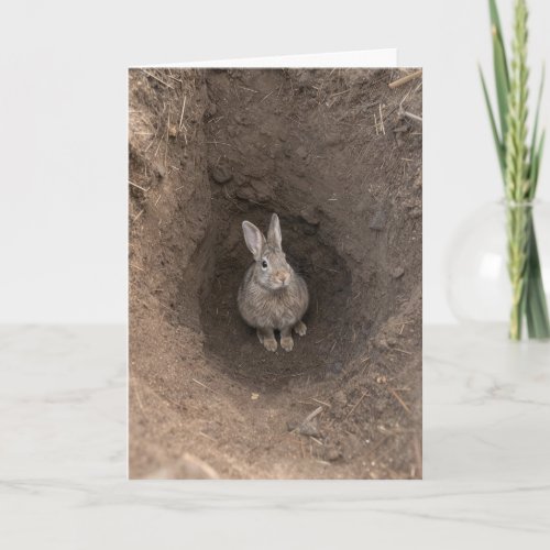 Birthday Rabbit In Dirt Hole Card