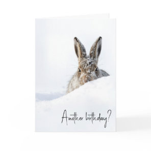 Birthday Rabbit Peeking Over a Snowdrift Card