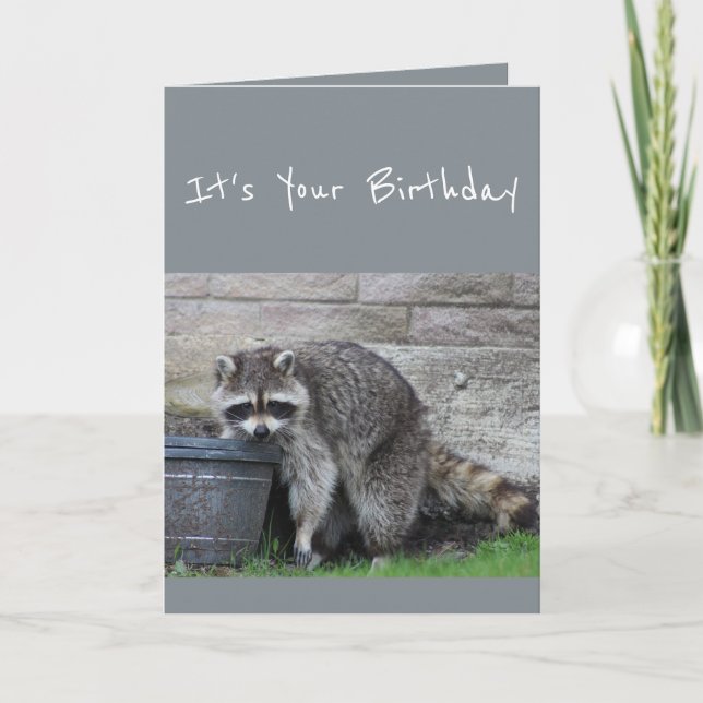 Birthday Raccoon Bucket of Fun Humor Card (Front)