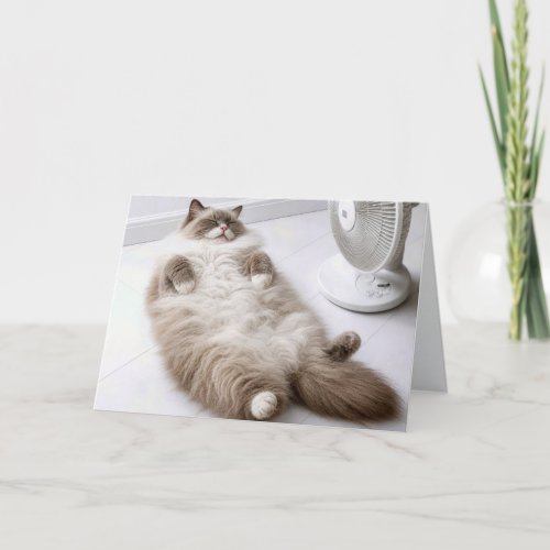 Birthday Ragdoll Cat Cooling Off by a Fan Card