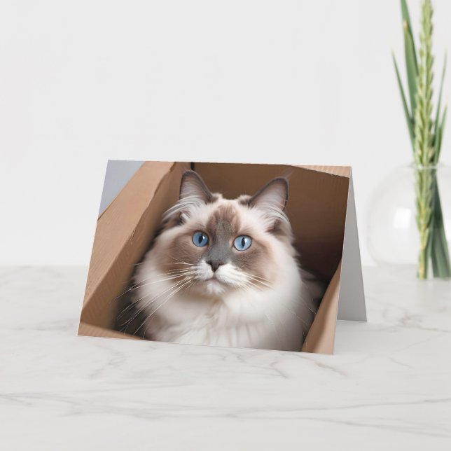 Birthday Ragdoll Cat in Cardboard Box Card (Front)