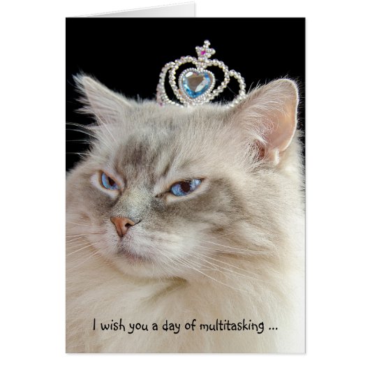 Birthday Ragdoll Cat with Crown Cards (Front)