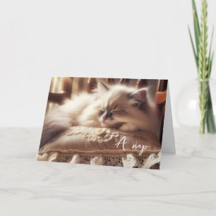 Birthday Ragdoll Kitten On Pillow Card